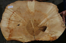 Load image into Gallery viewer, Box Elder Slice
