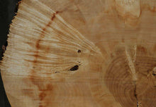 Load image into Gallery viewer, Box Elder Slice
