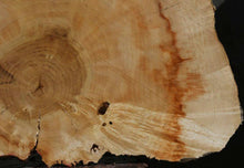 Load image into Gallery viewer, Box Elder Slice
