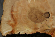Load image into Gallery viewer, Box Elder Slice
