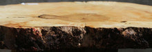 Load image into Gallery viewer, Box Elder Slice
