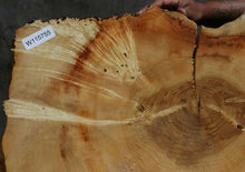Load image into Gallery viewer, Box Elder Slice
