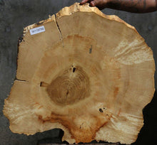 Load image into Gallery viewer, Box Elder Slice
