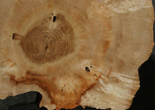 Load image into Gallery viewer, Box Elder Slice
