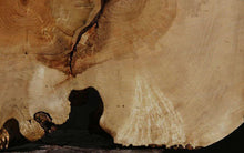 Load image into Gallery viewer, Box Elder Slice
