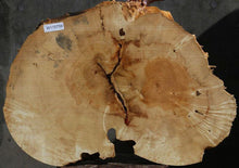 Load image into Gallery viewer, Box Elder Slice
