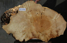 Load image into Gallery viewer, Box Elder Slice
