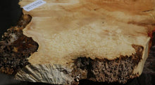 Load image into Gallery viewer, Box Elder Slice
