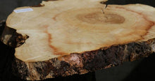 Load image into Gallery viewer, Box Elder Slice
