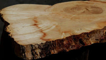 Load image into Gallery viewer, Box Elder Slice
