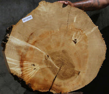 Load image into Gallery viewer, Box Elder Slice
