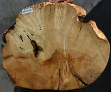 Load image into Gallery viewer, Box Elder Slice
