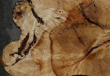 Load image into Gallery viewer, Box Elder Slice
