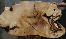 Load image into Gallery viewer, Box Elder Slice
