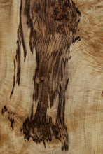 Load image into Gallery viewer, Tiger Myrtle Slab
