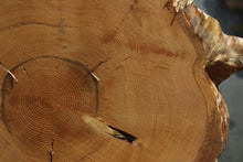 Load image into Gallery viewer, Douglas Fir Cookie
