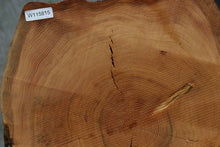 Load image into Gallery viewer, Douglas Fir Cookie
