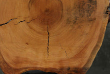Load image into Gallery viewer, Douglas Fir Cookie
