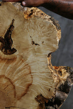 Load image into Gallery viewer, Box Elder Slice
