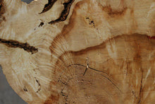 Load image into Gallery viewer, Box Elder Slice
