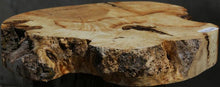 Load image into Gallery viewer, Box Elder Slice
