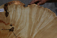 Load image into Gallery viewer, Box Elder Slice
