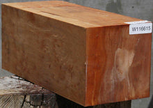 Load image into Gallery viewer, Maple Vessel Blank
