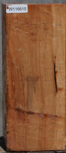 Load image into Gallery viewer, Maple Vessel Blank
