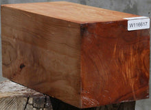 Load image into Gallery viewer, Maple Vessel Blank
