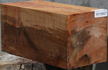 Load image into Gallery viewer, Figured Maple Vessel Blank
