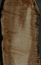 Load image into Gallery viewer, Figured Maple Mini Slab
