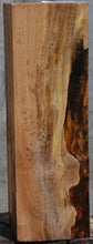 Load image into Gallery viewer, Fiddleback Maple Live Edge Vessel Blank

