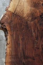 Load image into Gallery viewer, Rustic Grafted English/Claro Walnut Slab
