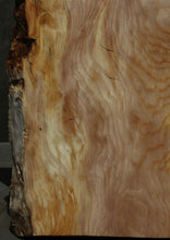 Load image into Gallery viewer, Rustic Sitka Spruce Mini Slab
