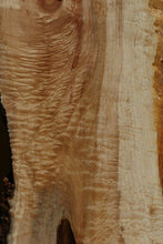Load image into Gallery viewer, Fiddleback Maple Slab
