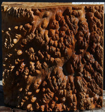 Load image into Gallery viewer, Gold Mallee Burl Cap
