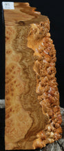 Load image into Gallery viewer, Gold Mallee Burl Cap

