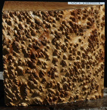 Load image into Gallery viewer, Gold Mallee Burl Cap
