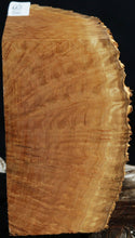Load image into Gallery viewer, Gold Mallee Burl Cap
