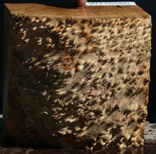 Load image into Gallery viewer, Gold Mallee Burl Cap
