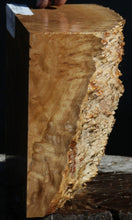 Load image into Gallery viewer, Gold Mallee Burl Cap
