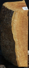 Load image into Gallery viewer, Gold Mallee Burl Cap
