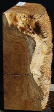 Load image into Gallery viewer, Gold Mallee Burl Cap
