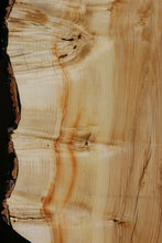 Load image into Gallery viewer, Figured Box Elder Profiled Mini Slab
