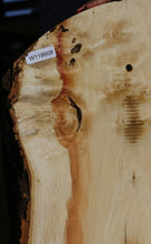 Load image into Gallery viewer, Figured Box Elder Profiled Mini Slab
