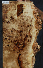 Load image into Gallery viewer, Mappa Burl Live Edge Lumber
