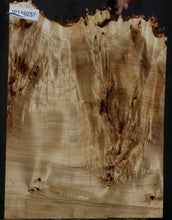 Load image into Gallery viewer, Mappa Burl Live End Lumber
