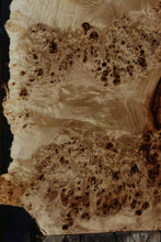Load image into Gallery viewer, Mappa Burl Slab
