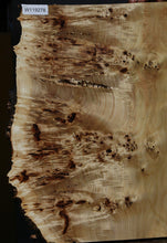 Load image into Gallery viewer, Mappa Burl Slab
