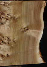 Load image into Gallery viewer, Mappa Burl Slab
